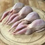 کبک تازه کشتار روز کیلویی